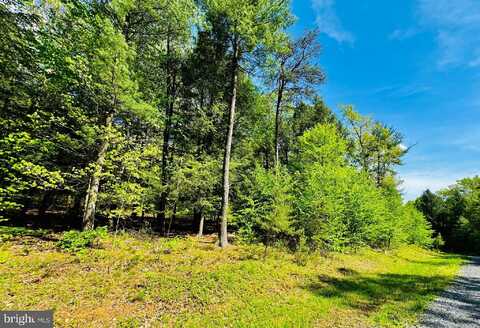 Lot: 11 PARADISE POINT, JAMES CREEK, PA 16657