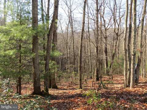 12 CEDARWOOD DRIVE ROAD, MATHIAS, WV 26812