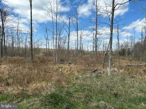 CHERRY RIDGE ROAD (LOT 6), MOUNT STORM, WV 26739