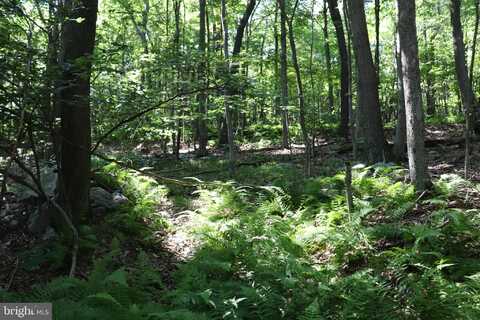 LOT 312 RIDGE RUN, CLAYSBURG, PA 16625