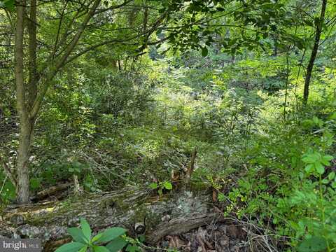 Lot 7 COON RIDGE, SCHERR, WV 26726