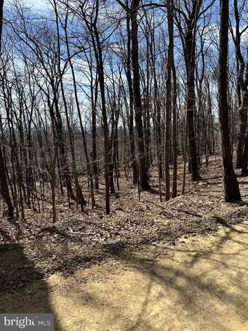 Lot 15 STAGG TRAIL, WINCHESTER, VA 22602