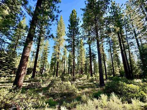 12337 Garwood Dean, Truckee, CA 96161