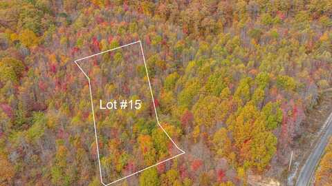 Tbd Paradise Lot 15 Drive, Duffield, VA 24244