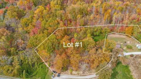 Tbd Majestic Lot 1 Drive, Duffield, VA 24244