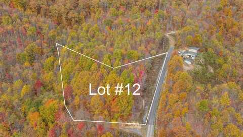 Tbd Majestic Lot 12 Drive, Duffield, VA 24244