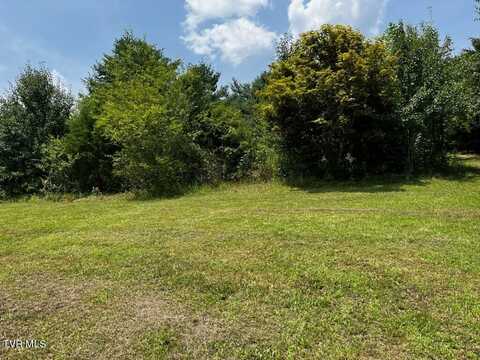 1146 Weaver Branch Road, Bluff City, TN 37618