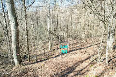 Lot 50 Hemlock Lane, Greeneville, TN 37745