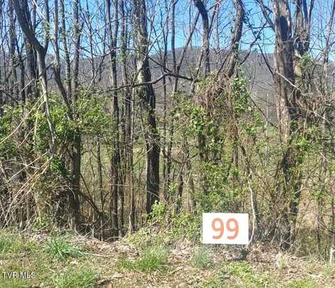 Lot 99 Country Club Drive, Unicoi, TN 37692