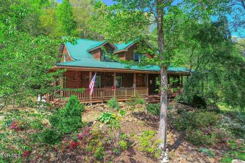 1585 Poor Valley Road, Rogersville, TN 37857