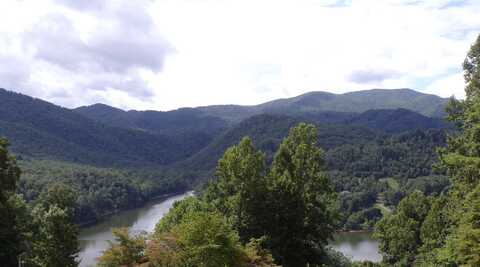 Lot 11 Lake Ridge Subdivision, Butler, TN 37640