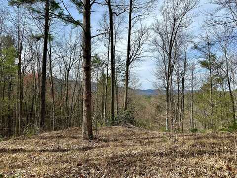 Lot No. 37 Clydesdale Way, Del Rio, TN 37727