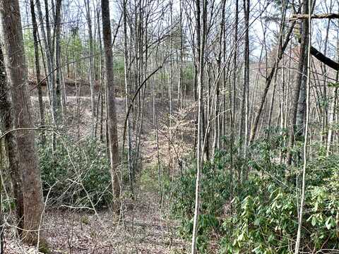 Lot No. 23 Clydesdale Way, Del Rio, TN 37727