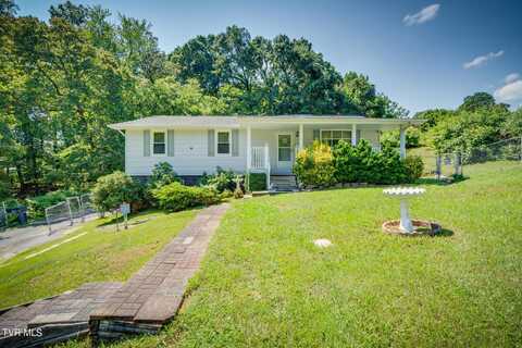 529 Hiwassee Street, Mount Carmel, TN 37645