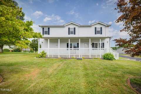 254 Wolfe Laurel Drive, Mount Carmel, TN 37645