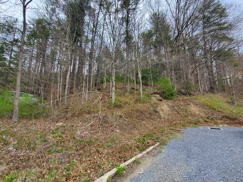 00 Off Us Highway 19e, Roan Mountain, TN 37687