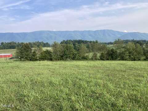 Tbd Lot 5 Red Hill Road, Greeneville, TN 37743