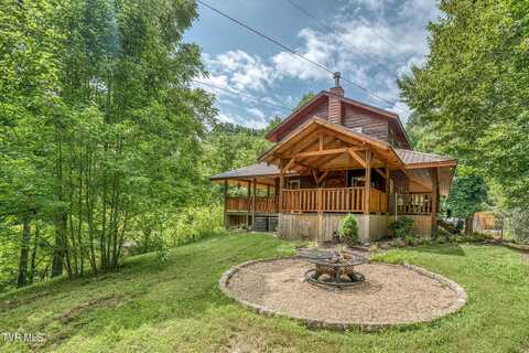 160 Conley Stevens Road, Roan Mountain, TN 37687