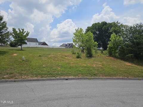 Lot 8 Warrior Falls Drive, Kingsport, TN 37664