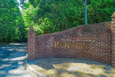 Lot 65 Brooks Pointe Drive, Rogersville, TN 37857