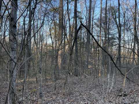 8+ Acres Cosby Highway, Cobsy, TN 37722