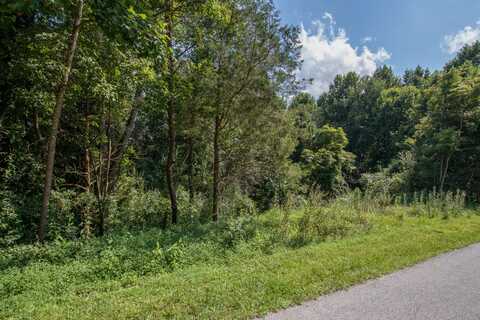 Lot 46 Tbd Preston Place Drive, Abingdon, VA 24211