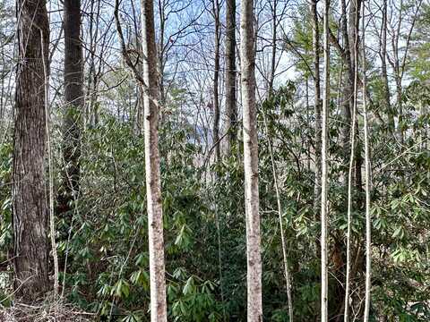 Lot No. 32 Clydesdale Way, Del Rio, TN 37727