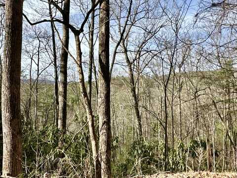 Lot No. 28 Clydesdale Way, Del Rio, TN 37727