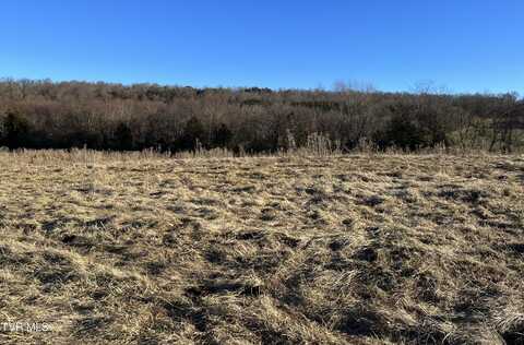 Tbd Lot 3 Old Asheville Highway, Greeneville, TN 37743