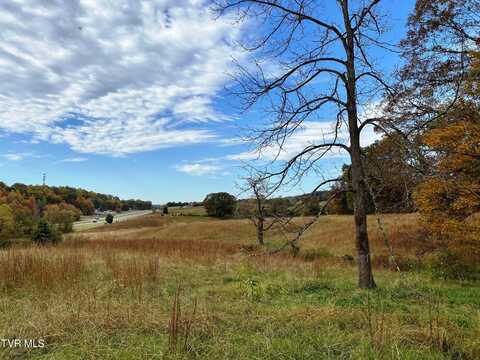 Tbd West Sr-1 Highway, Surgoinsville, TN 37873