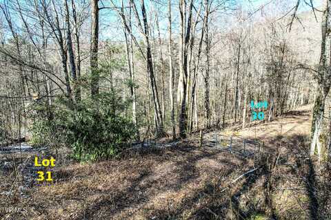 Lot 31 Hemlock Drive, Greeneville, TN 37743