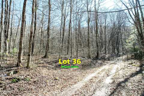 Lot 36 Hemlock Drive, Greeneville, TN 37743