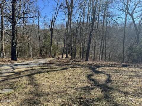 00 East Stagecoach Road, Greeneville, TN 37743