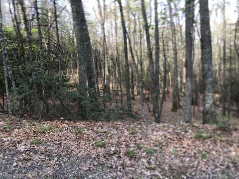 00 Sunset Ridge, Butler, TN 37640