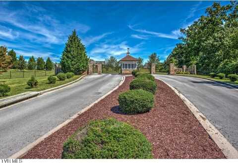 1101 Mountain Vista Pvt Drive, Bristol, TN 37620