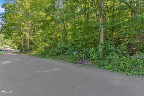 00 Artesian Well Hollow Road, Big Stone Gap, VA 24219