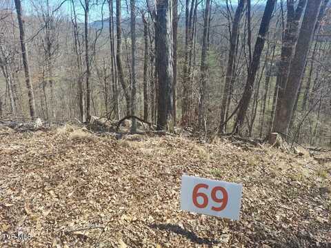 69 Golf Course Road, Unicoi, TN 37692