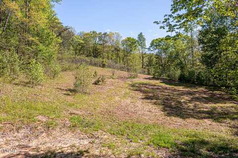 Tbd Seay Hollow Road, Bulls Gap, TN 37711