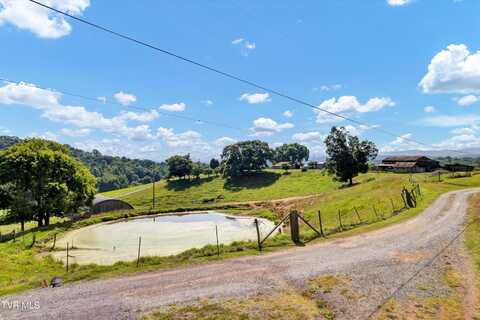 Tbd Chestnutt Town Road, Rogersville, TN 37857