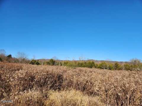 5.14 Ac North Wells Hill Lane, Bulls Gap, TN 37711