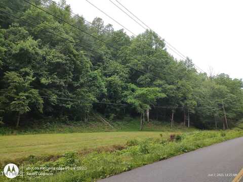 Big Creek Rd, Hartford, TN 37753