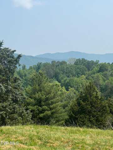 Lot 13 Vineyard Valley Drive, Butler, TN 37640