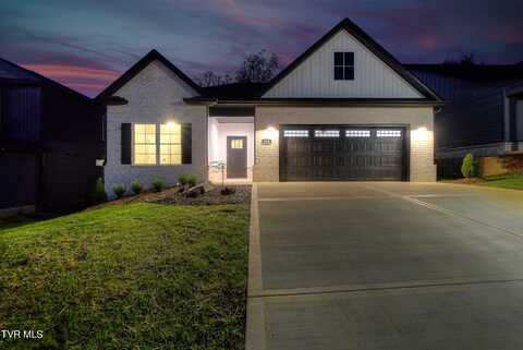 263 Dry Kiln Court, Gray, TN 37615