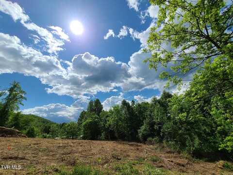 Tbd Masters St Extension, Erwin, TN 37650