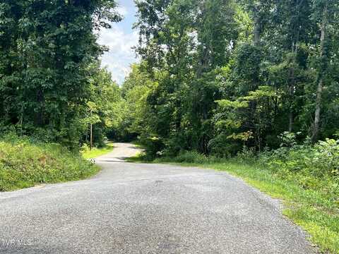 2470 Allen Chapel Road, Parrottsville, TN 37843