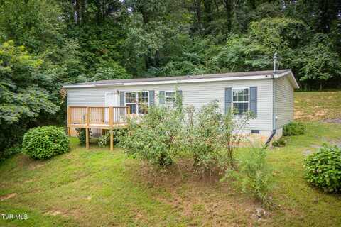 261 Long Hollow Road, Rogersville, TN 37857