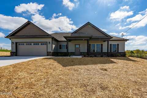 1321 Bowmantown Road, Limestone, TN 37681