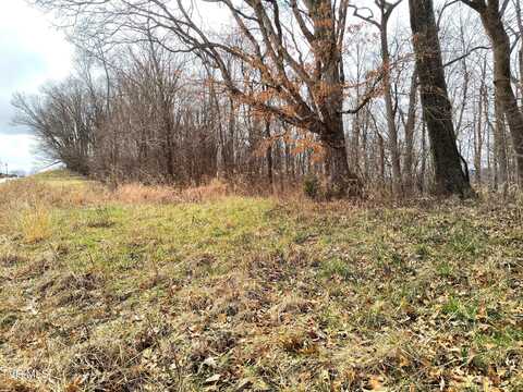 Lot 44 Chimney Top Lane, Chuckey, TN 37641