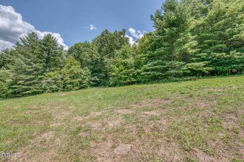 Tbd Myrtle Drive, Butler, TN 37640