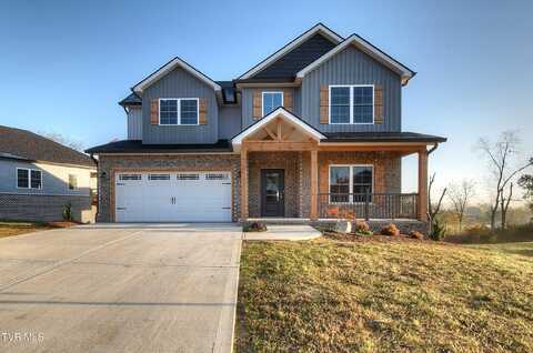 264 Dry Kiln Court, Gray, TN 37615